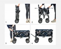 Trolley Lena